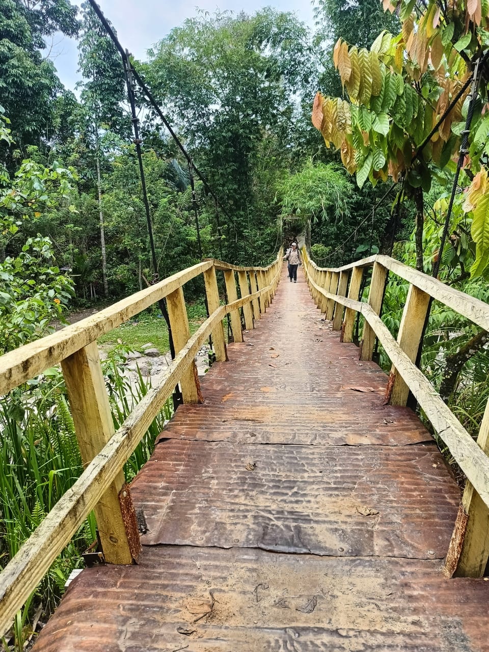 Jembatan Gantung