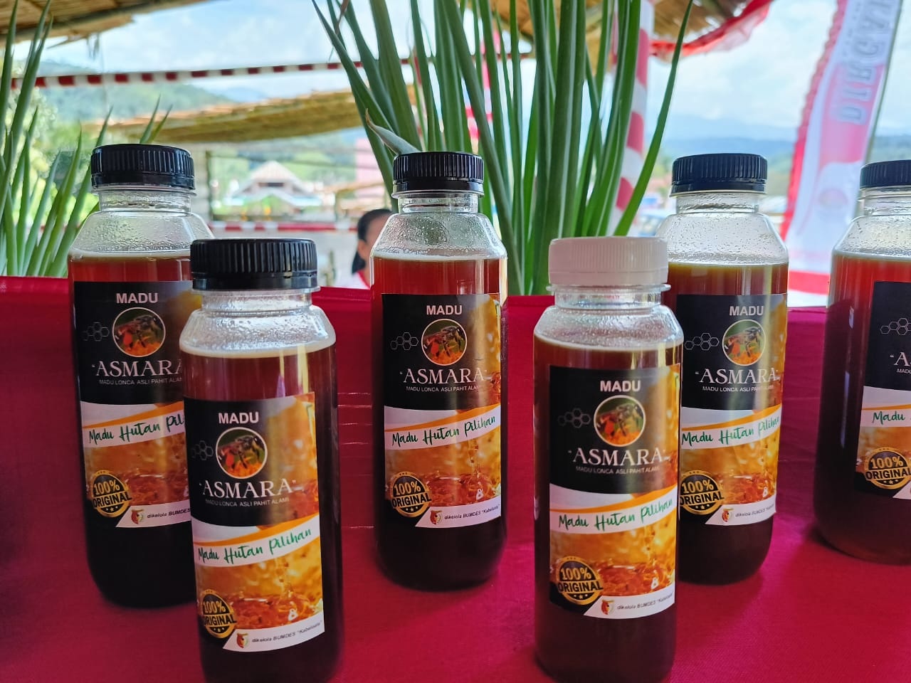 Madu Asmara